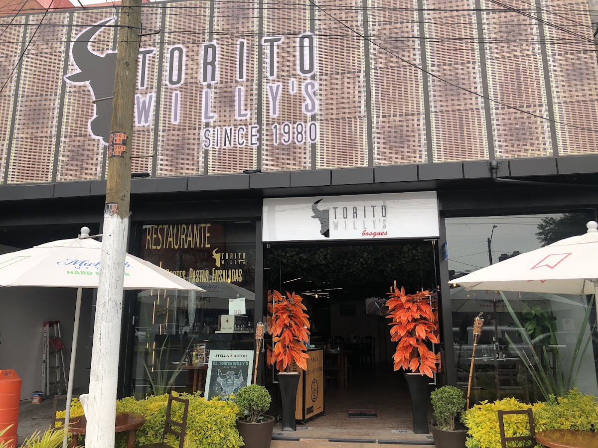 Torito Willys Bosques